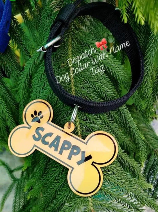 Dog Coller 01