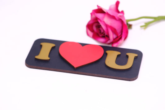 Secret I LOVE YOU Frame