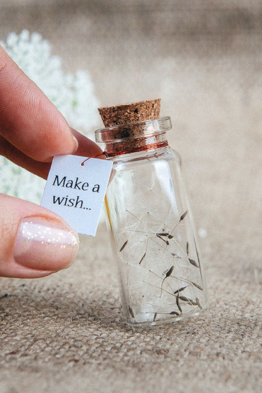 Make a Wish Message Bottle