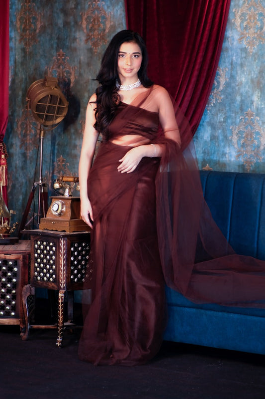 Brown Mesh Saree