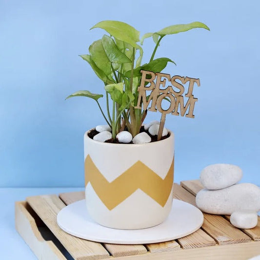 Best Mom Cake Topper