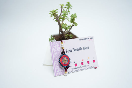 Seeds Rakhi 104