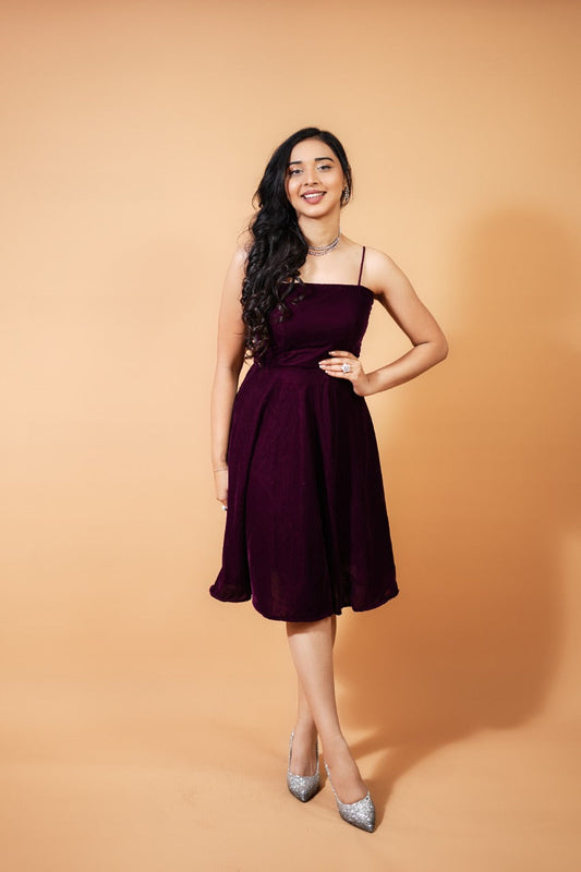 Wine Velvet Skater Dress