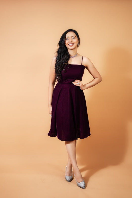 Wine Velvet Skater Dress plus