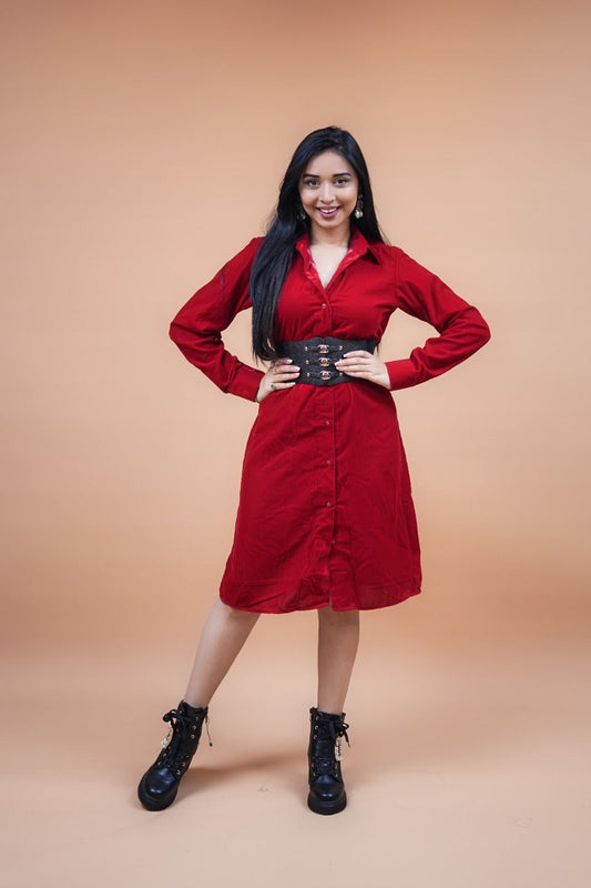 Mary Red Velvet Dress plus