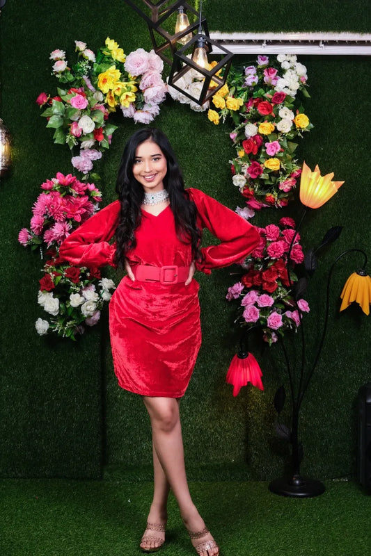 Danielle velvet Dress