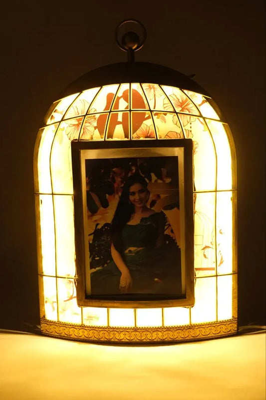 Led Cage Frame