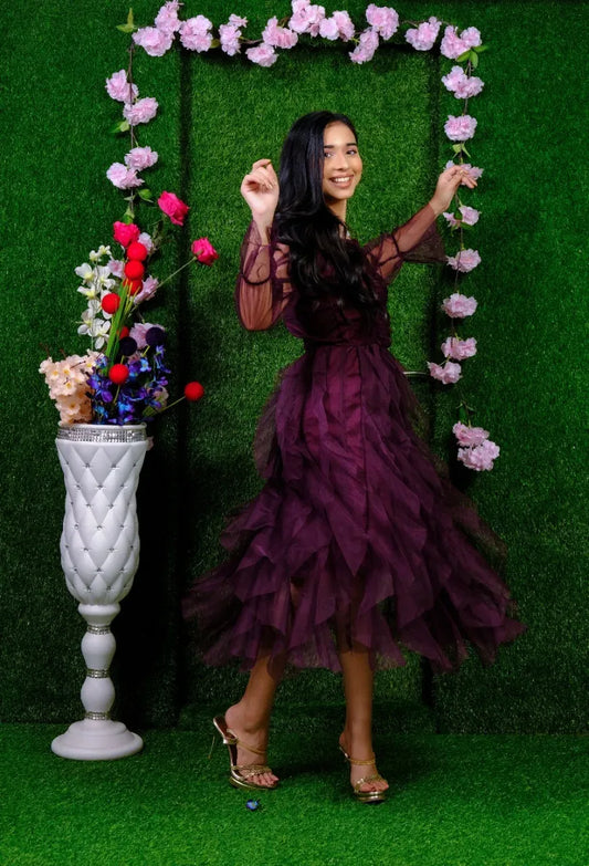 Jarari Wine Gown H27