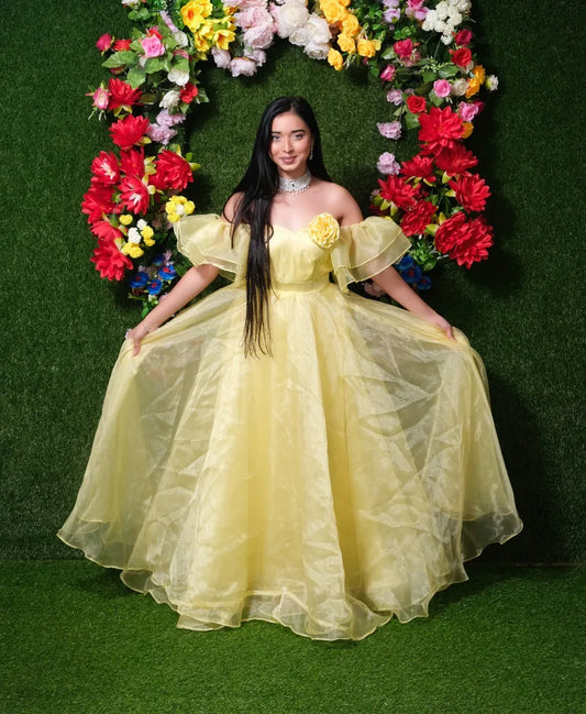 Cinderella Gown
