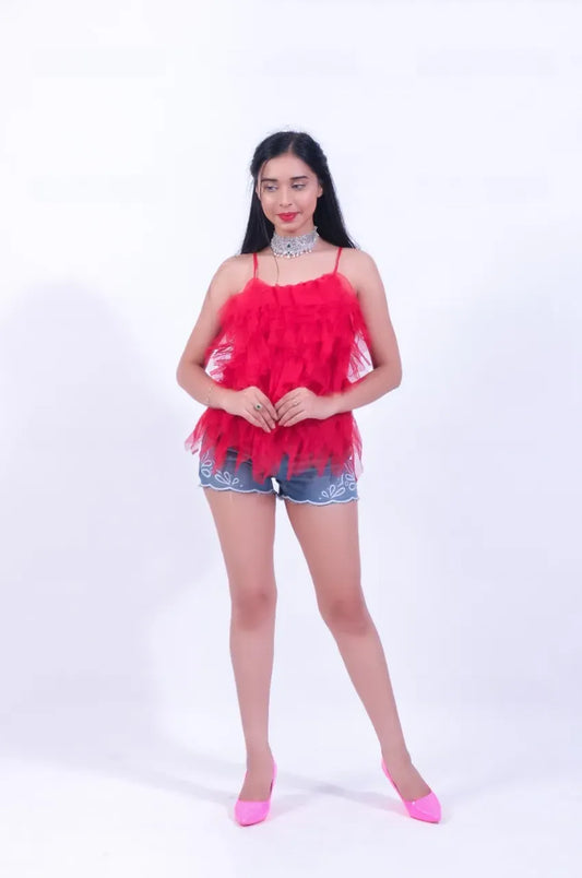 Brahmaur Top