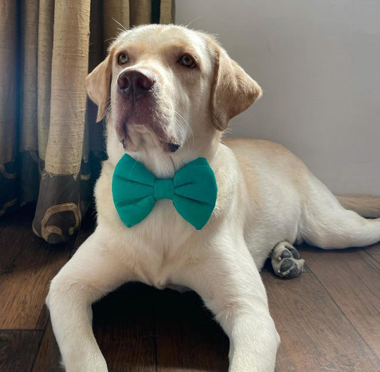Dog BowTies