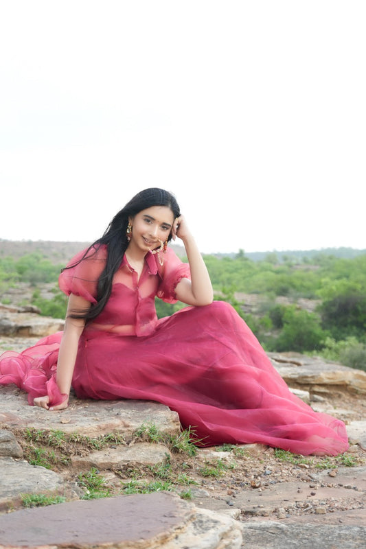 Princess Aris Red lehenga