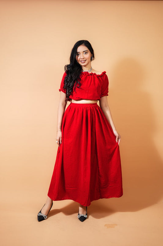 Red Velvet Skirt and Top