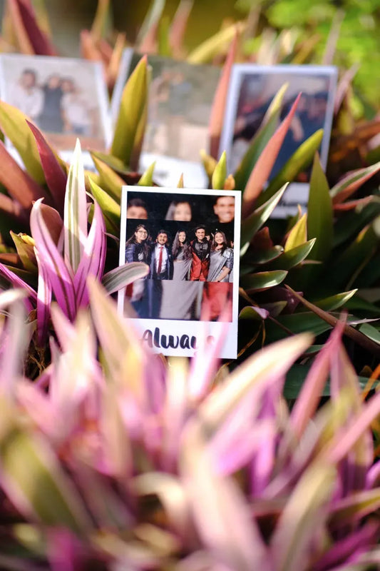 White Board Polaroid Magnet