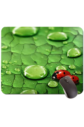 Red Bugs Mouse Pad