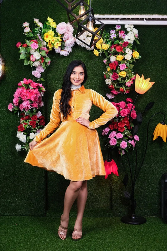 Jenny velvet Dress